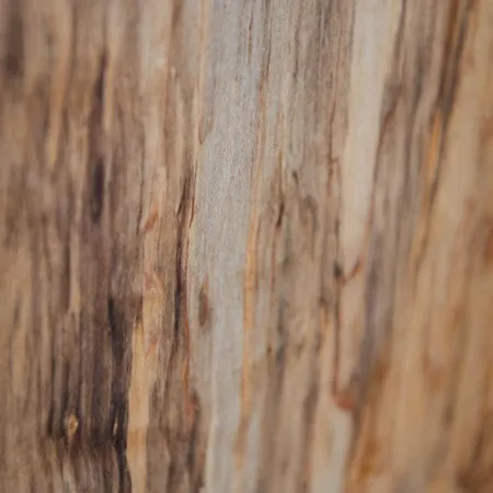 Auszeit Im Harz Haus 1 Feuerstein Schierke