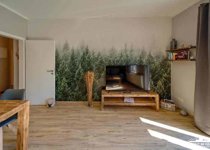 아파트 Auszeit Im Harz Haus 1 Feuerstein 시르케