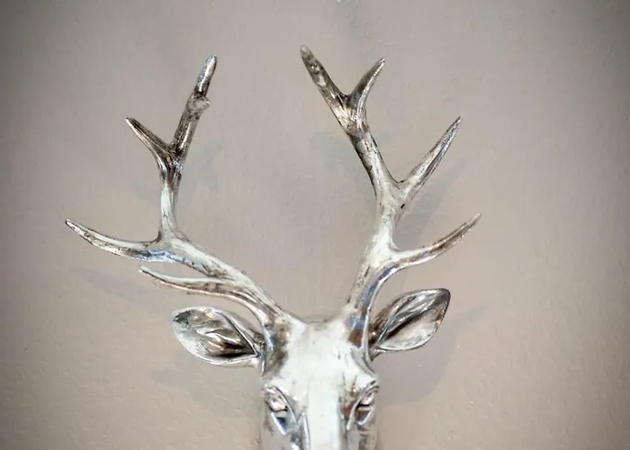 Auszeit Im Harz Haus 1 Feuerstein 아파트 시르케