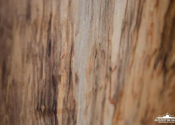 Auszeit Im Harz Haus 1 Feuerstein 시르케